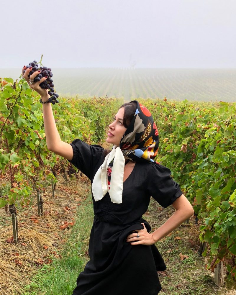 Among the Vines of Bordeaux
