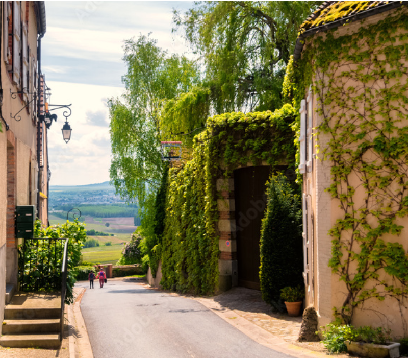 Hautvillers: The Soul of Champagne