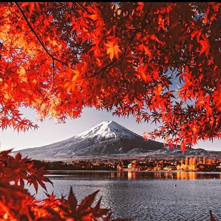 Japan in Autumn and Fiery Momiji Maples