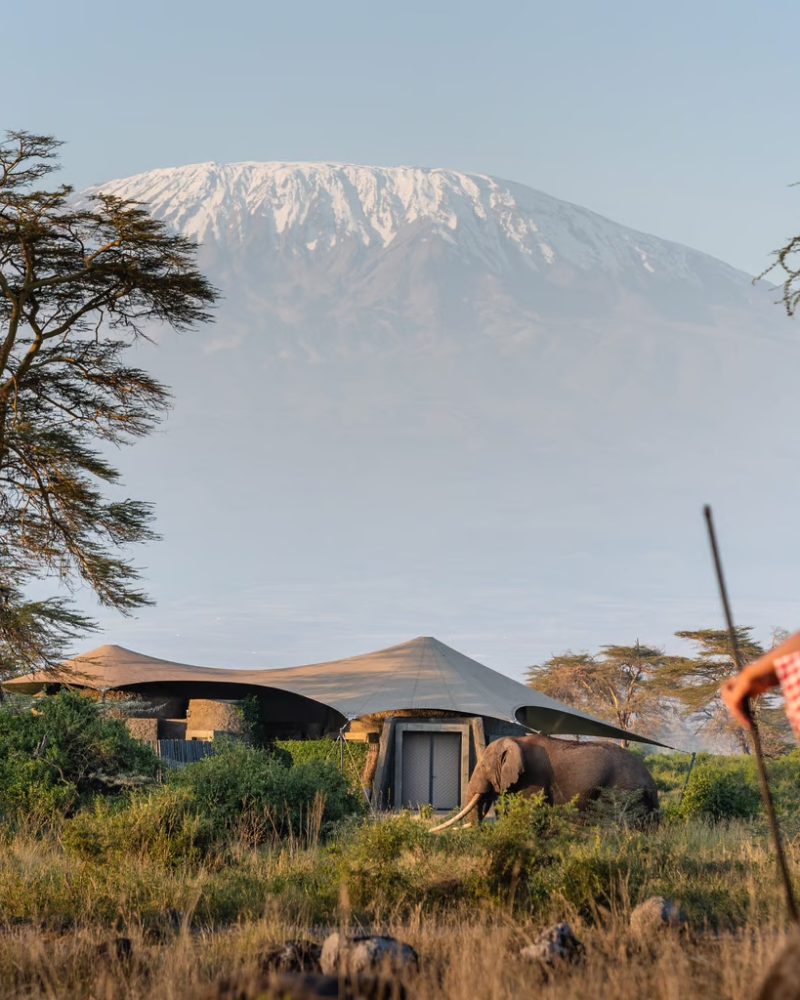 Kenya — Where the Earth Breathes Life