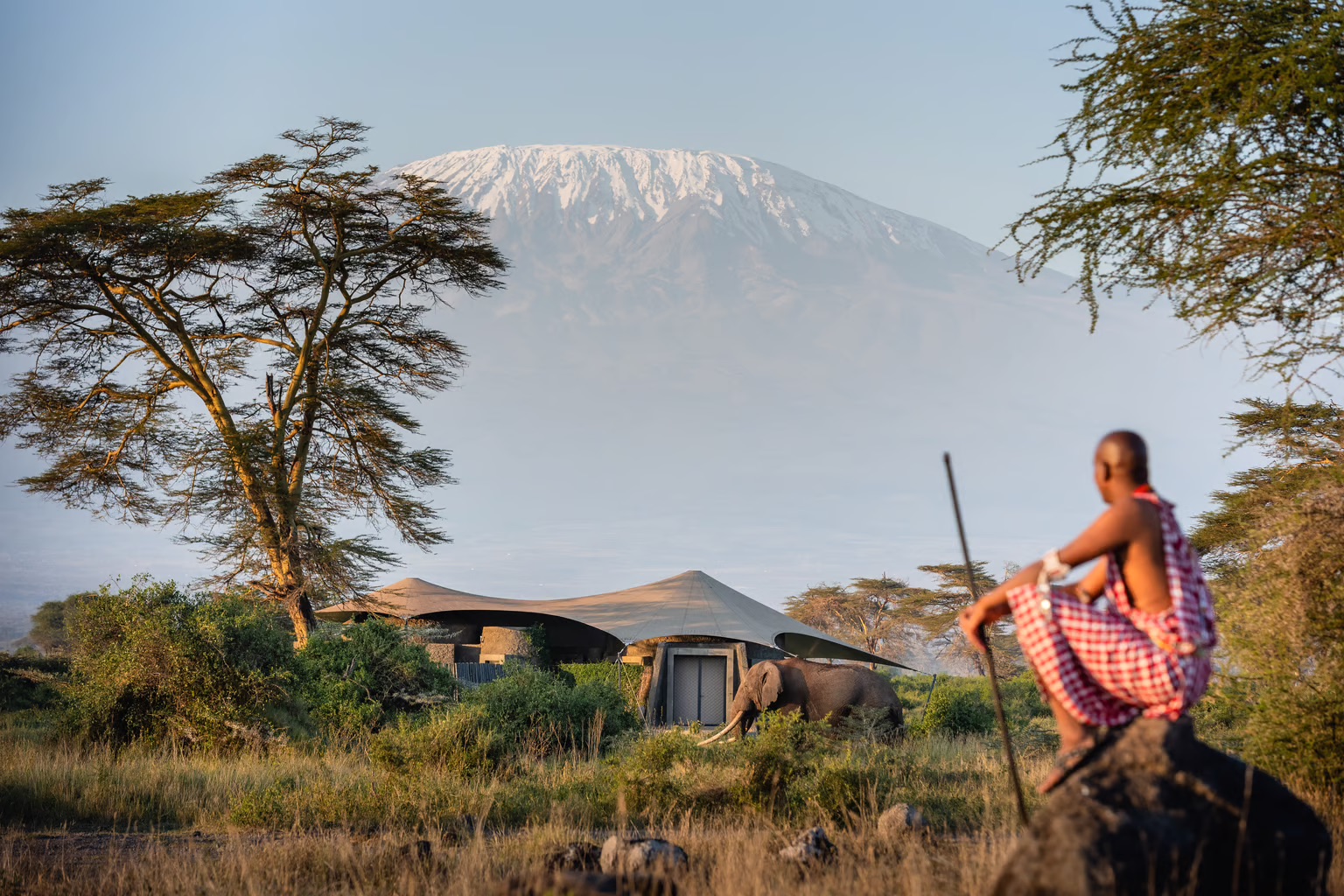 Kenya: Where the Earth Breathes Life