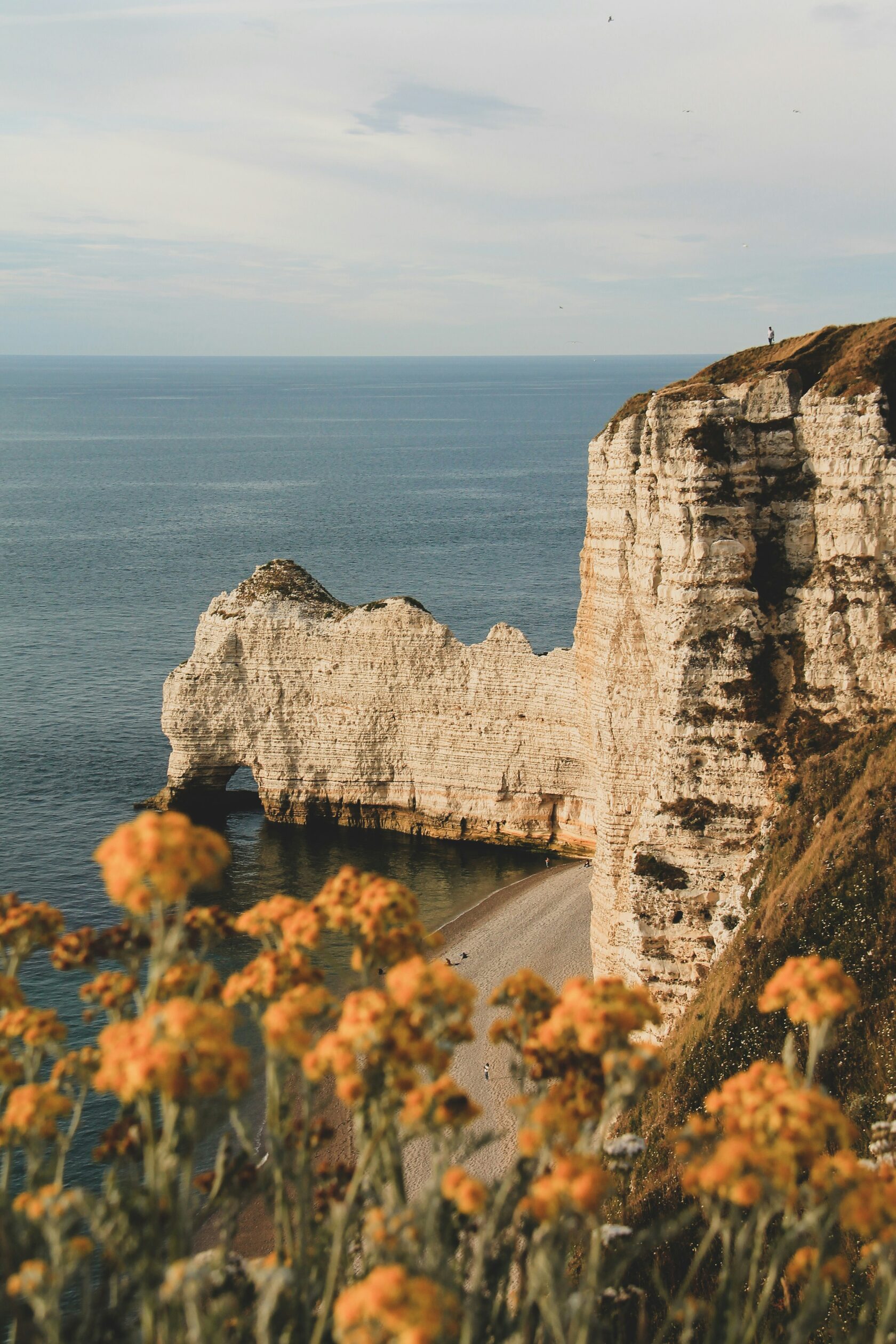 Normandy. Sea Breeze and the Scent of Apples