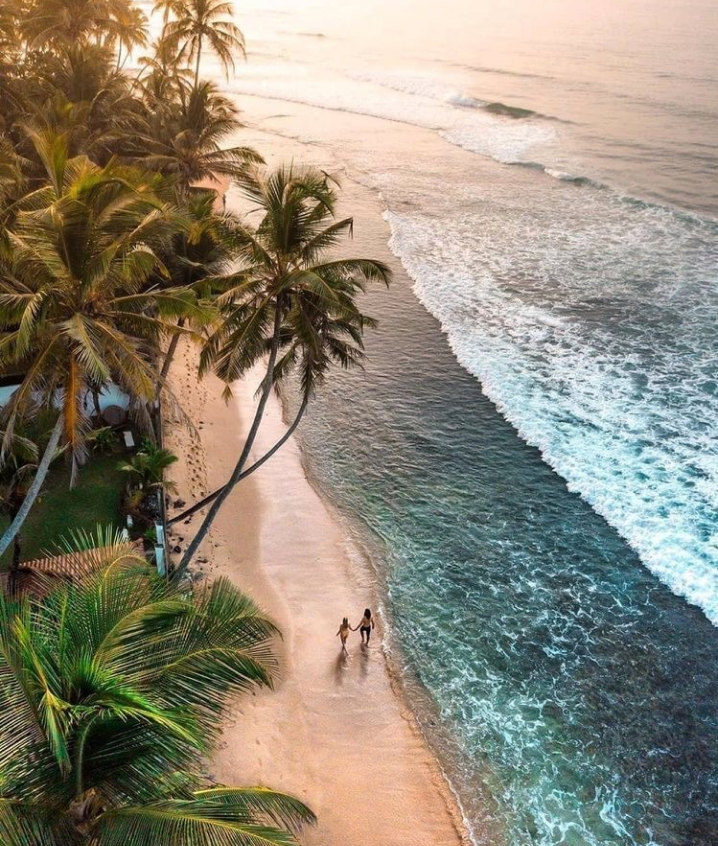 Along the Shore